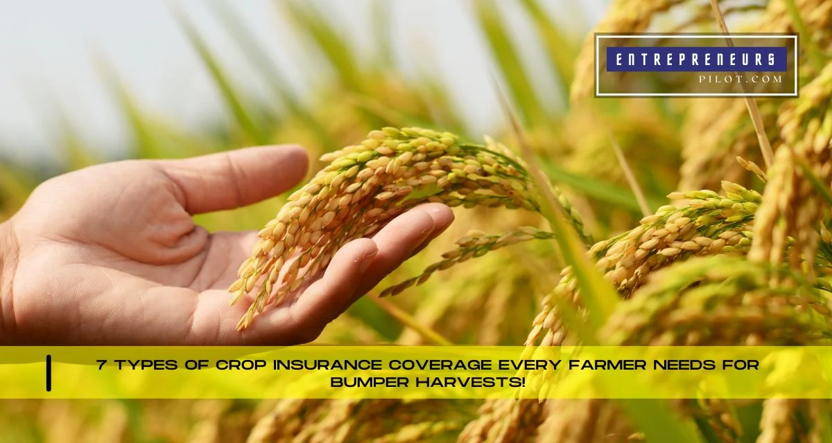 Types Of Crop Insurance Coverage